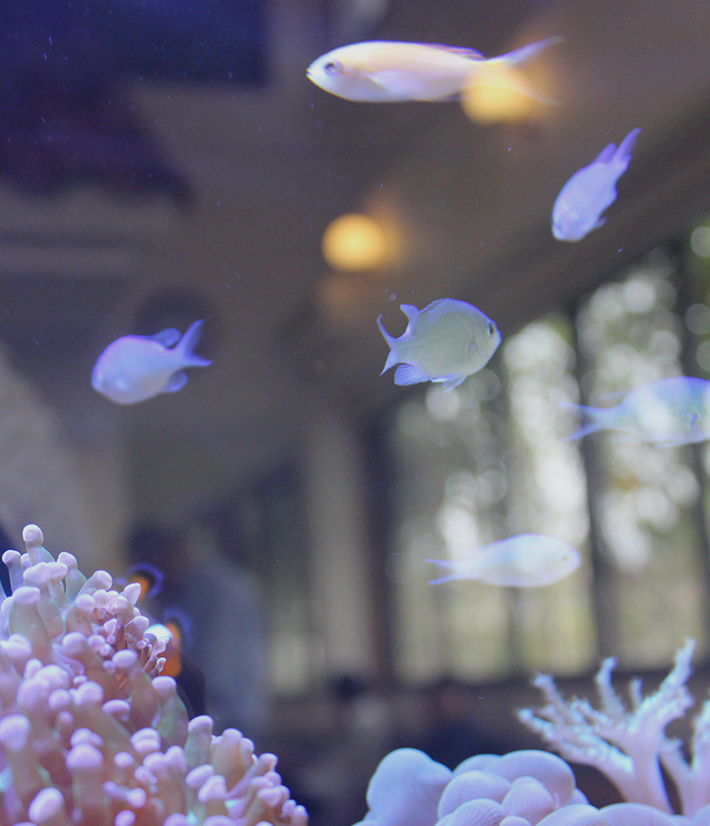 内科・循環器科・呼吸器科お気軽にご相談ください